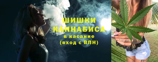 ПСИЛОЦИБИНОВЫЕ ГРИБЫ Лагань
