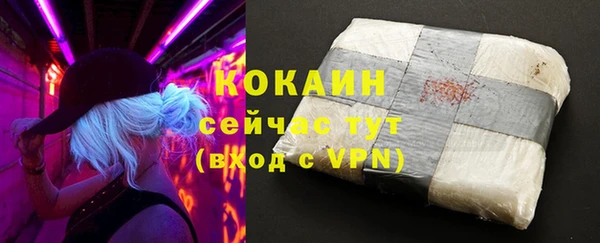 ПСИЛОЦИБИНОВЫЕ ГРИБЫ Лагань