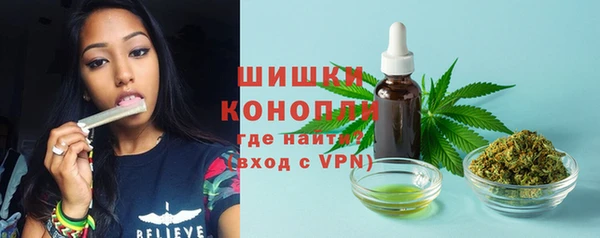 ПСИЛОЦИБИНОВЫЕ ГРИБЫ Лагань