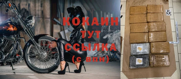 ПСИЛОЦИБИНОВЫЕ ГРИБЫ Лагань