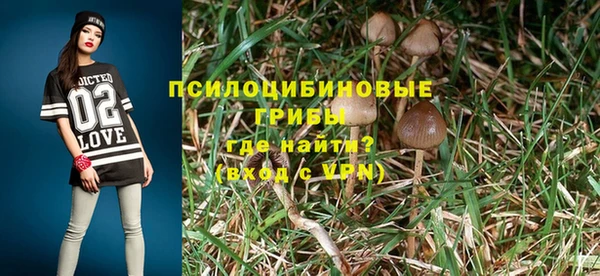 ПСИЛОЦИБИНОВЫЕ ГРИБЫ Лагань
