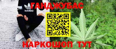 амф Камышлов