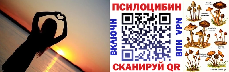 kraken ТОР  где можно купить   Юрга  Псилоцибиновые грибы Cubensis 