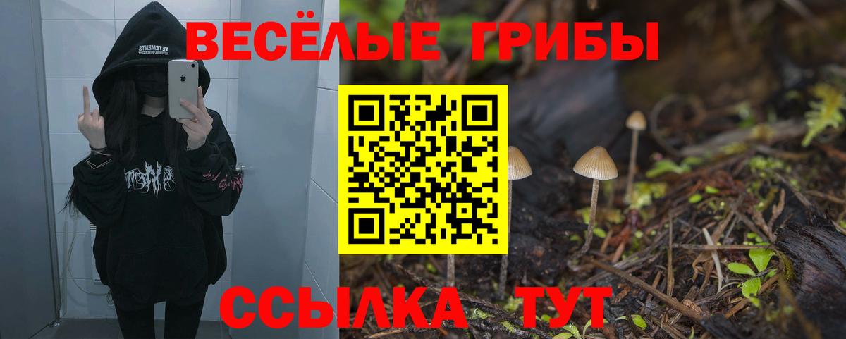 Галлюциногенные грибы GOLDEN TEACHER  Псилоцибиновые грибы ЛСД  Юрга  Вход с VPN 