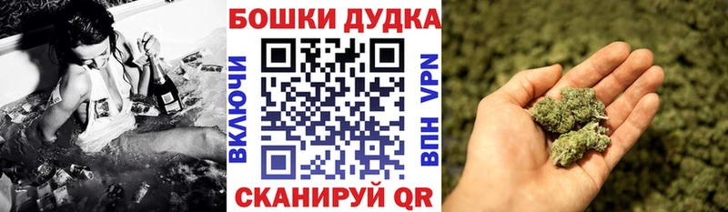 Конопля сатива  Юрга 
