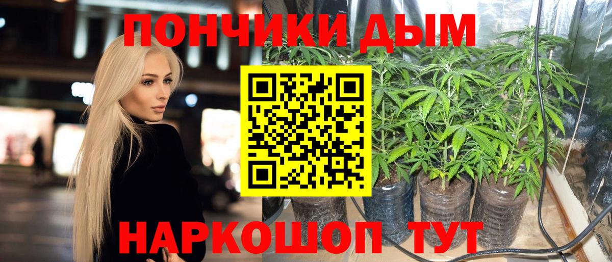 Юрга  Конопля семена  Вход с VPN  Каннабис OG Kush  Марихуана OG Kush 